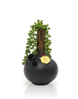DeAngelo Set
