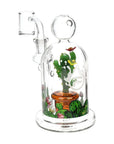 Pulsar Cactus Terrarium Small Dab Rig