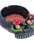 Skull Brain Ashtray - inhalco