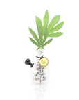 Love Bud Vase Bong