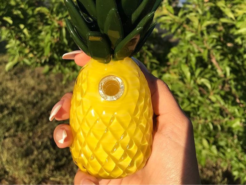 8 Best Pineapple Bongs for Weed Connoisseurs