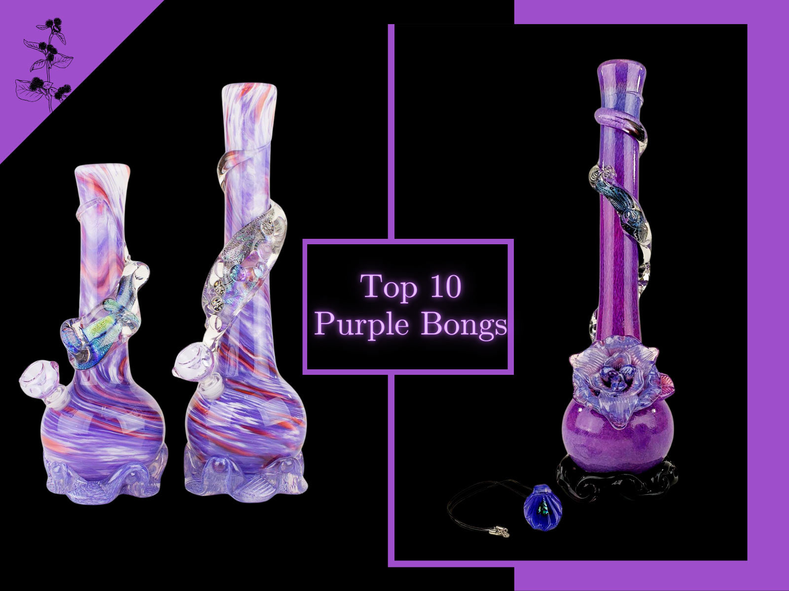 Top 10 Purple Bongs - Smoke in a Romantic Style