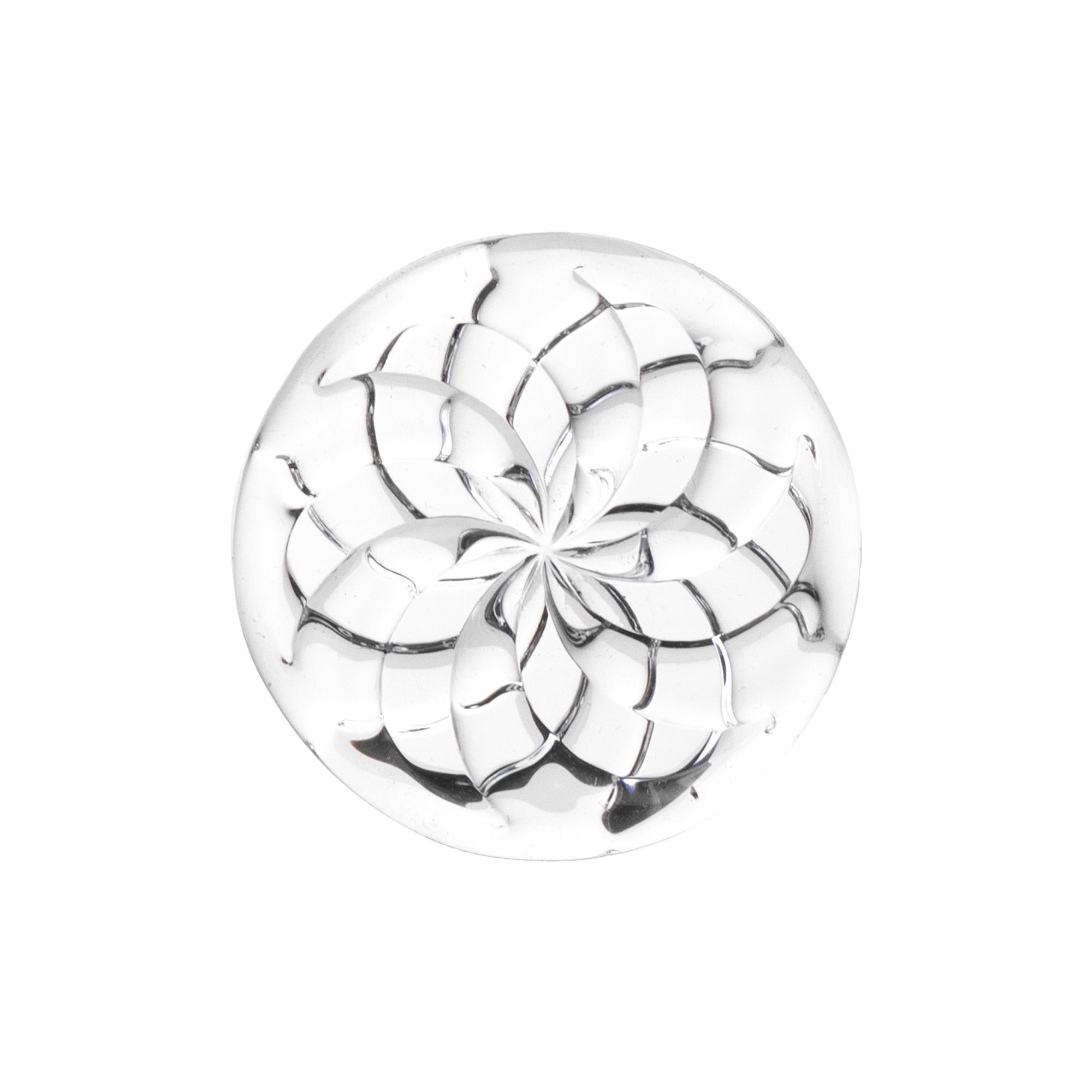Disk Capw Slits Clear