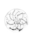 Disk Capw Slits Clear