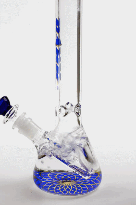 9.5&quot; DANK Beaker Glass Water Bong