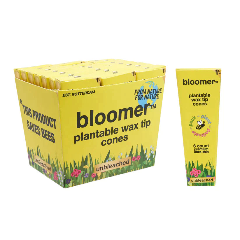 bloomer™ 1-1/4 paper cones - unbleached Box of 21_0